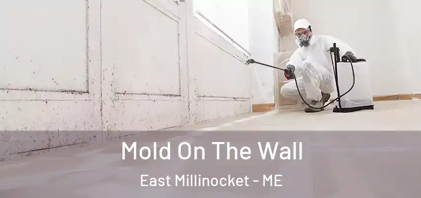  Mold On The Wall East Millinocket - ME