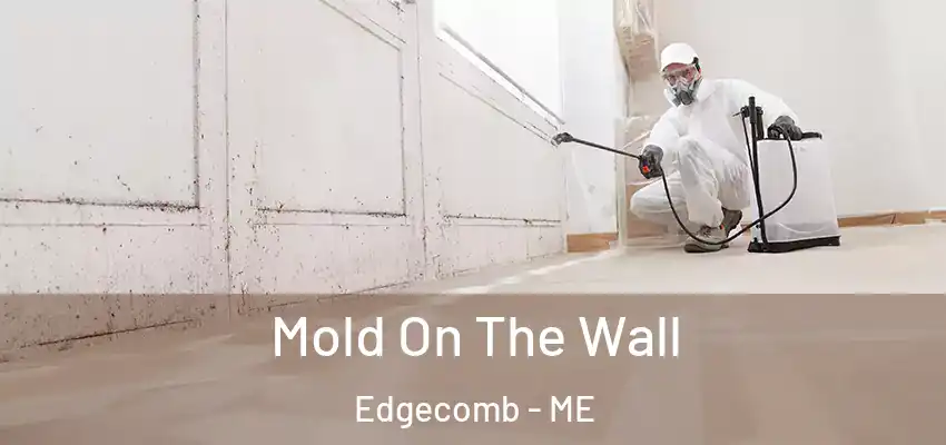  Mold On The Wall Edgecomb - ME