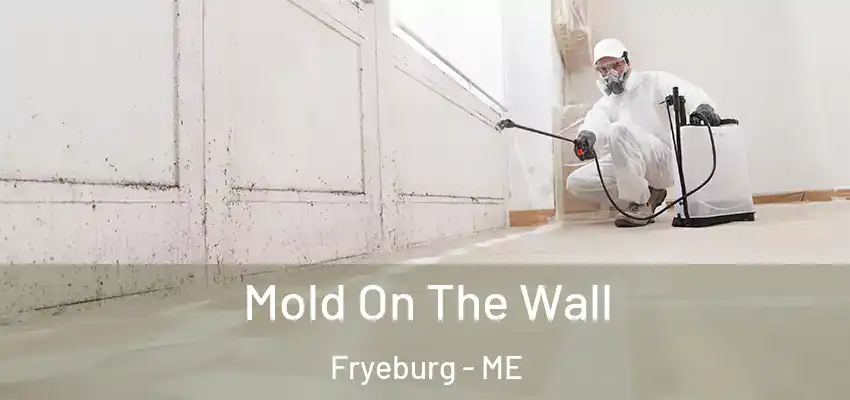  Mold On The Wall Fryeburg - ME
