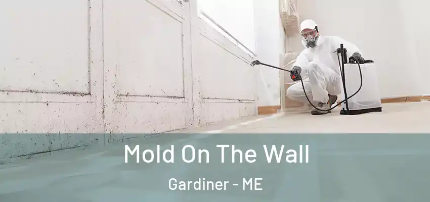  Mold On The Wall Gardiner - ME