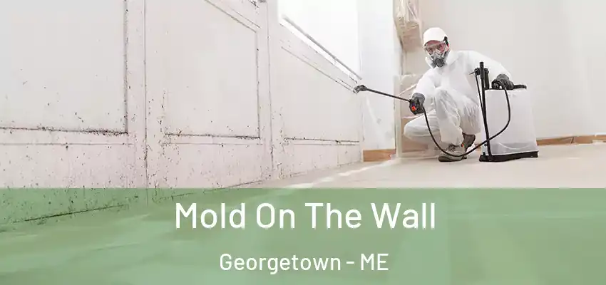  Mold On The Wall Georgetown - ME