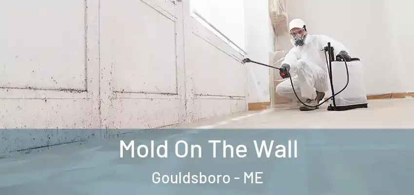  Mold On The Wall Gouldsboro - ME