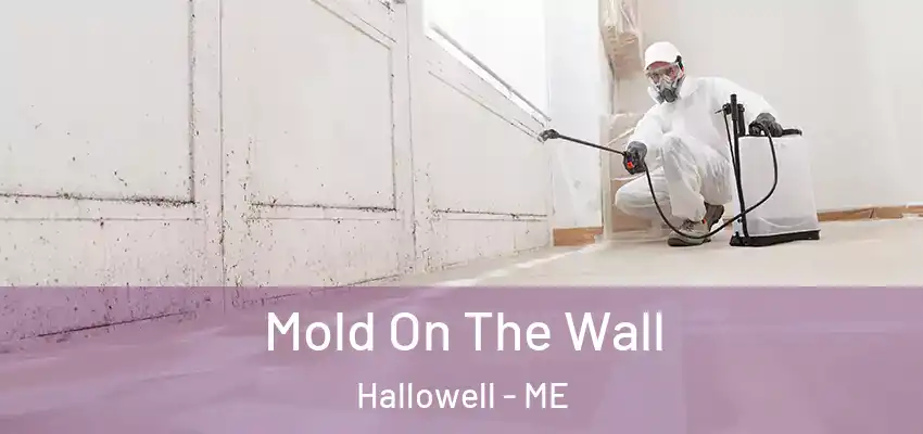  Mold On The Wall Hallowell - ME