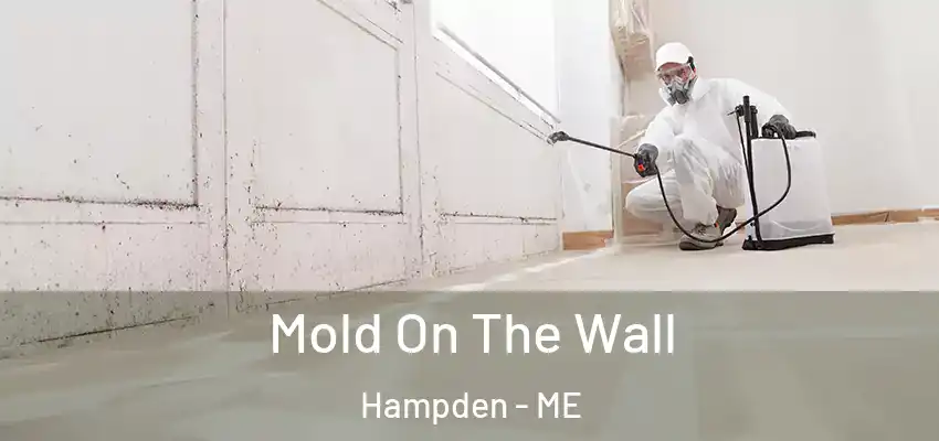  Mold On The Wall Hampden - ME