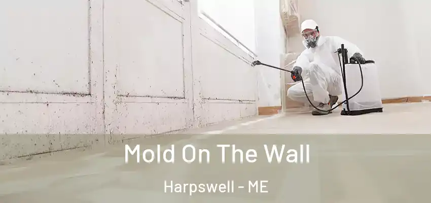  Mold On The Wall Harpswell - ME