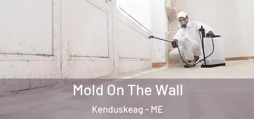  Mold On The Wall Kenduskeag - ME