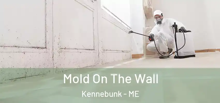  Mold On The Wall Kennebunk - ME