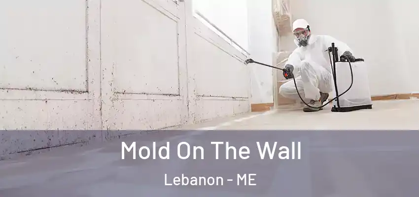  Mold On The Wall Lebanon - ME