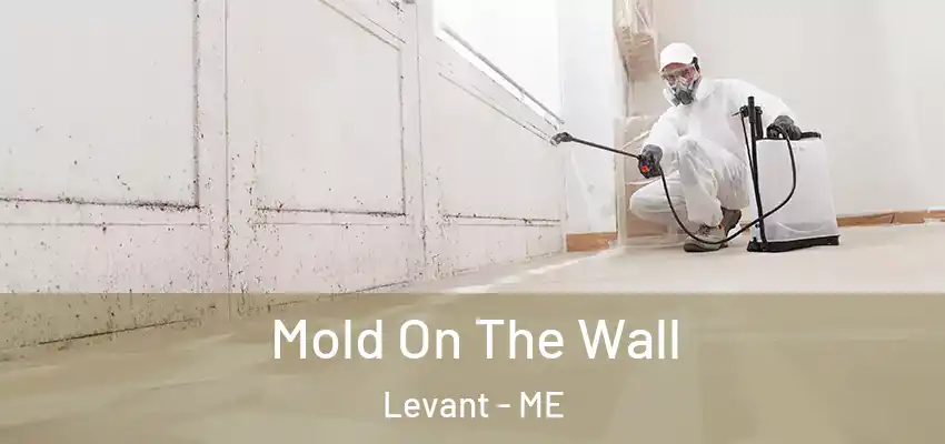  Mold On The Wall Levant - ME