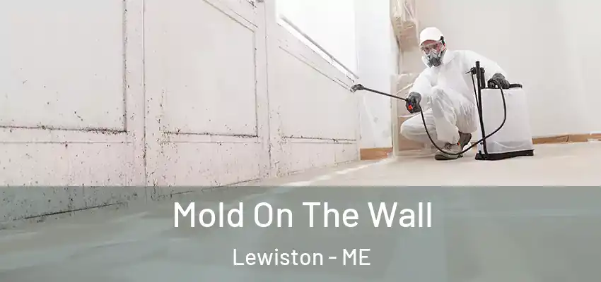  Mold On The Wall Lewiston - ME