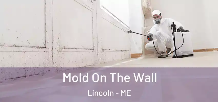  Mold On The Wall Lincoln - ME