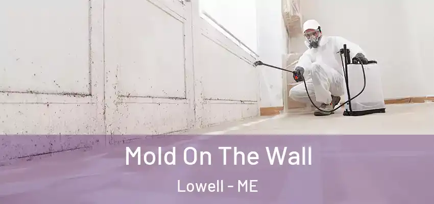  Mold On The Wall Lowell - ME