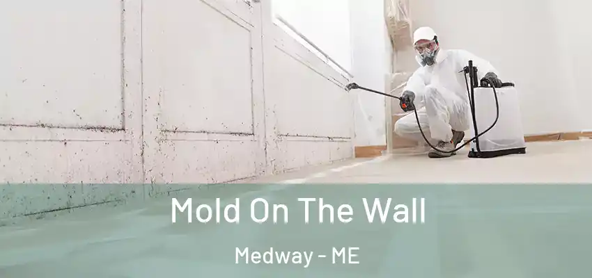  Mold On The Wall Medway - ME