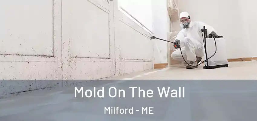  Mold On The Wall Milford - ME