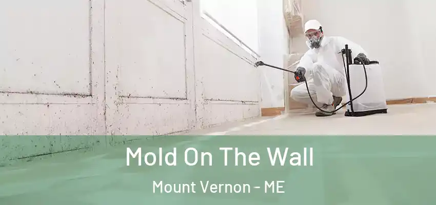  Mold On The Wall Mount Vernon - ME