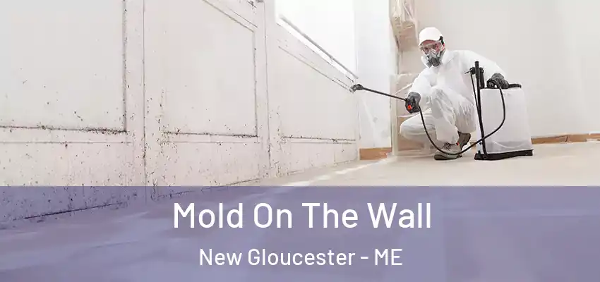 Mold On The Wall New Gloucester - ME