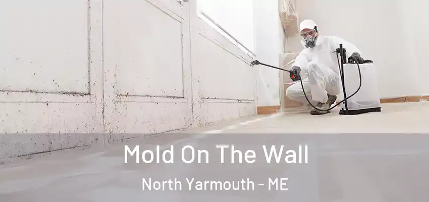  Mold On The Wall North Yarmouth - ME