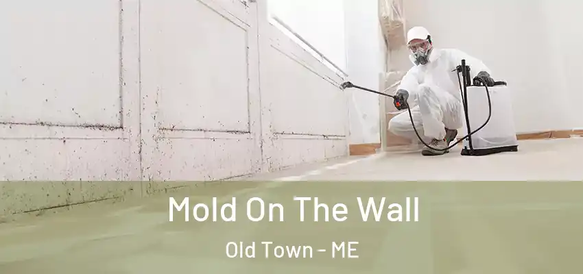  Mold On The Wall Old Town - ME
