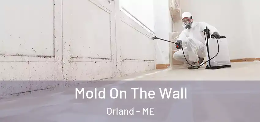  Mold On The Wall Orland - ME