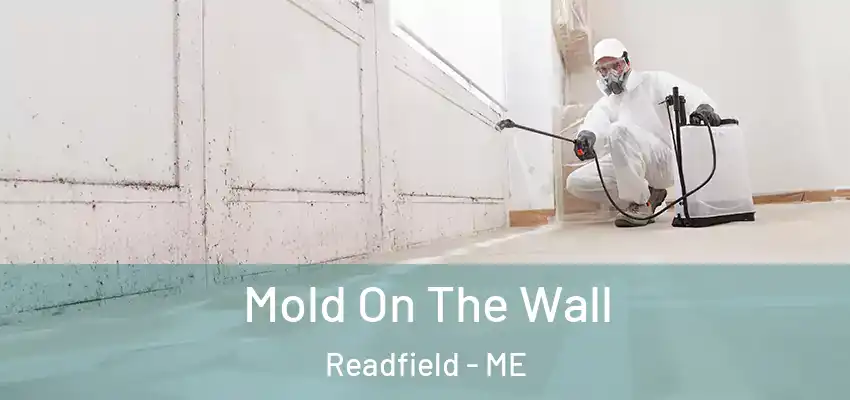  Mold On The Wall Readfield - ME