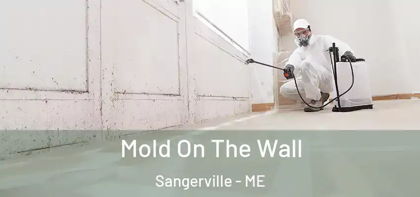  Mold On The Wall Sangerville - ME