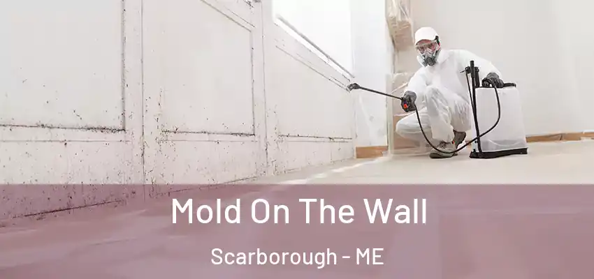  Mold On The Wall Scarborough - ME