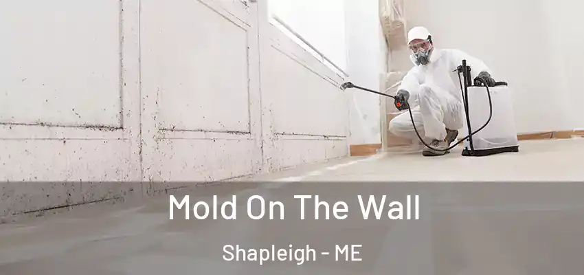  Mold On The Wall Shapleigh - ME
