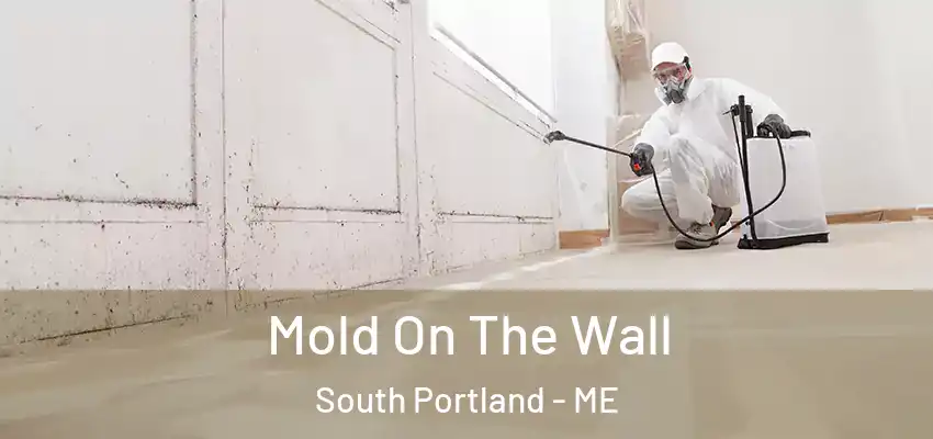  Mold On The Wall South Portland - ME