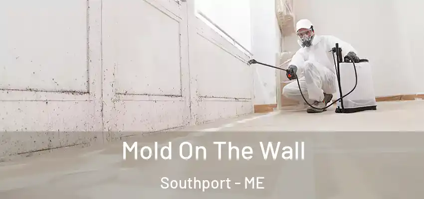  Mold On The Wall Southport - ME