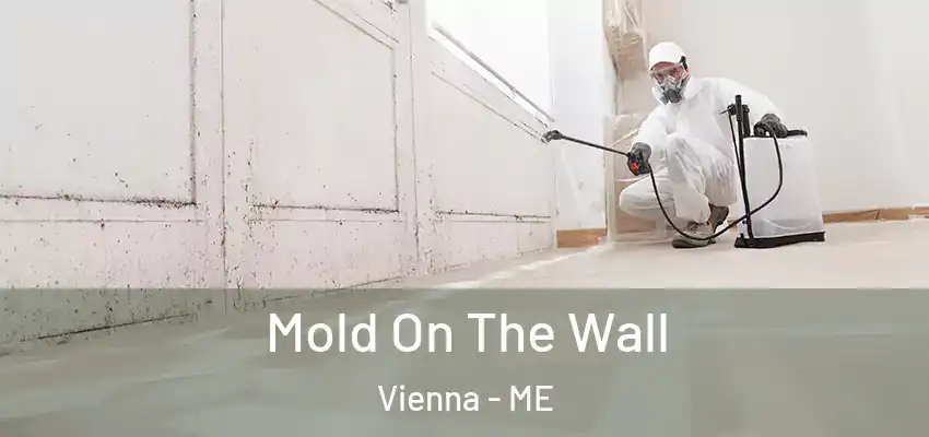  Mold On The Wall Vienna - ME