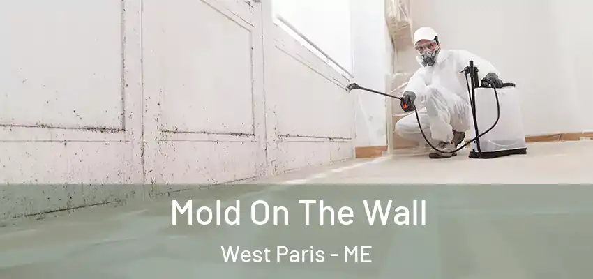  Mold On The Wall West Paris - ME