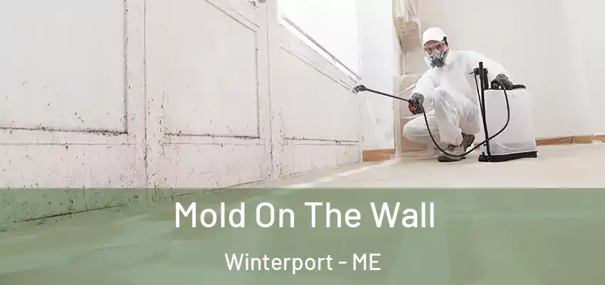  Mold On The Wall Winterport - ME
