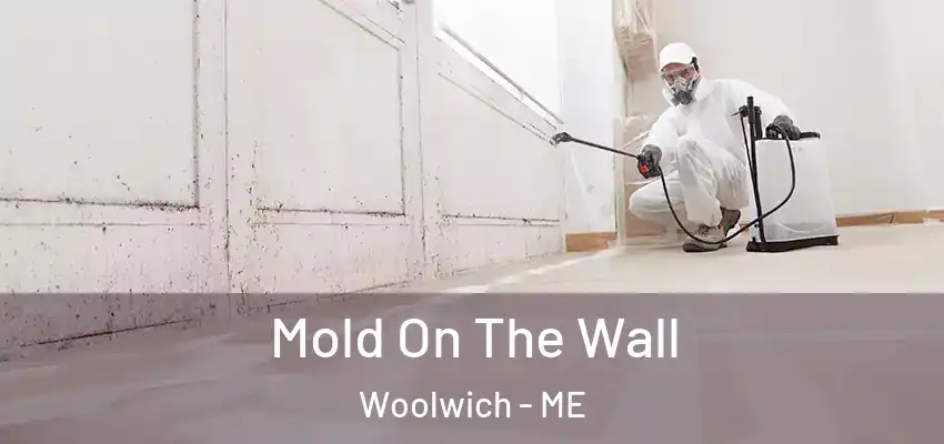  Mold On The Wall Woolwich - ME