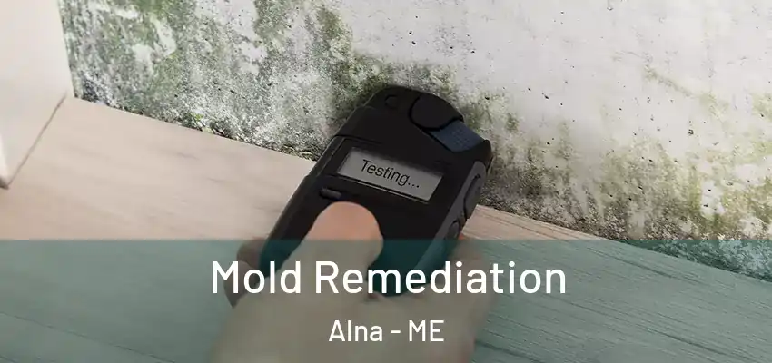  Mold Remediation Alna - ME