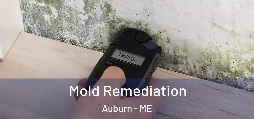  Mold Remediation Auburn - ME