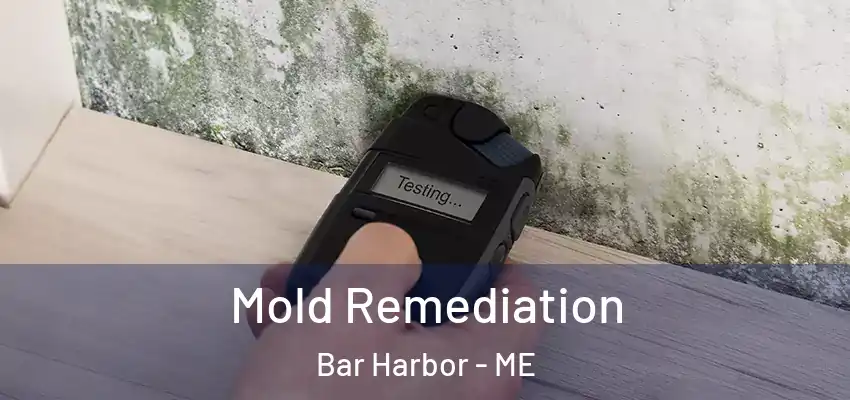  Mold Remediation Bar Harbor - ME
