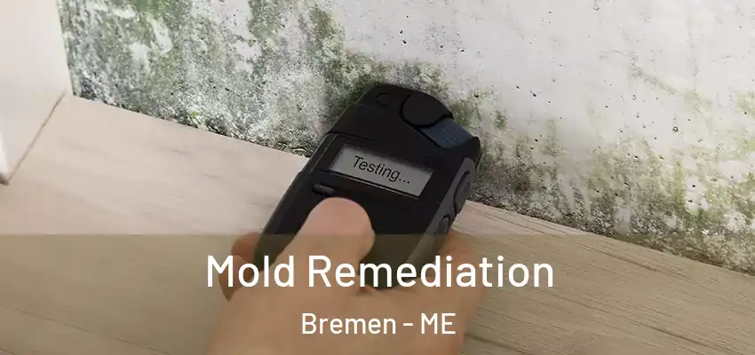  Mold Remediation Bremen - ME