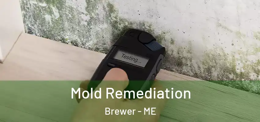  Mold Remediation Brewer - ME