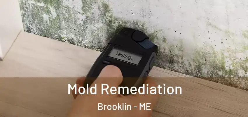  Mold Remediation Brooklin - ME