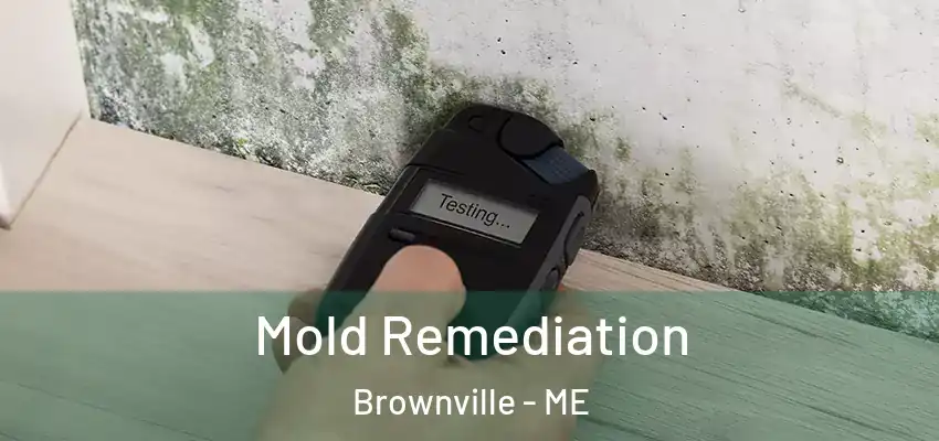  Mold Remediation Brownville - ME