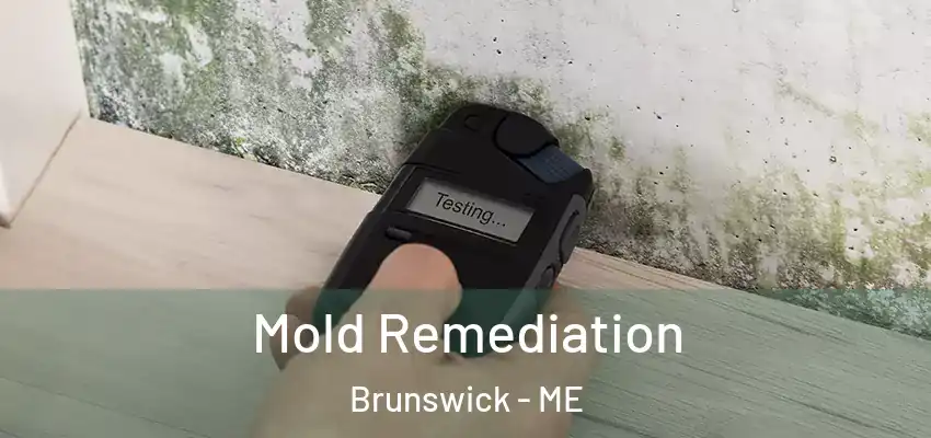  Mold Remediation Brunswick - ME