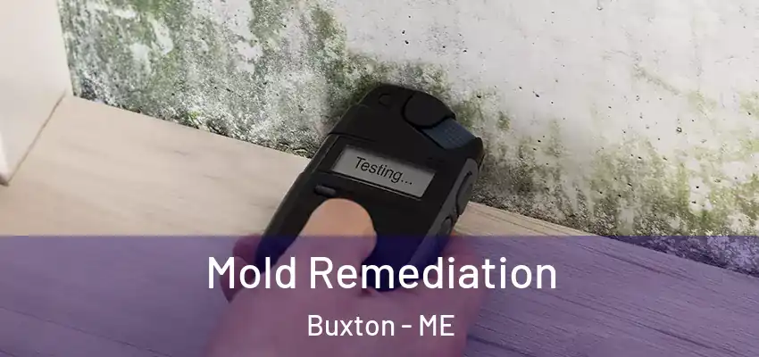  Mold Remediation Buxton - ME