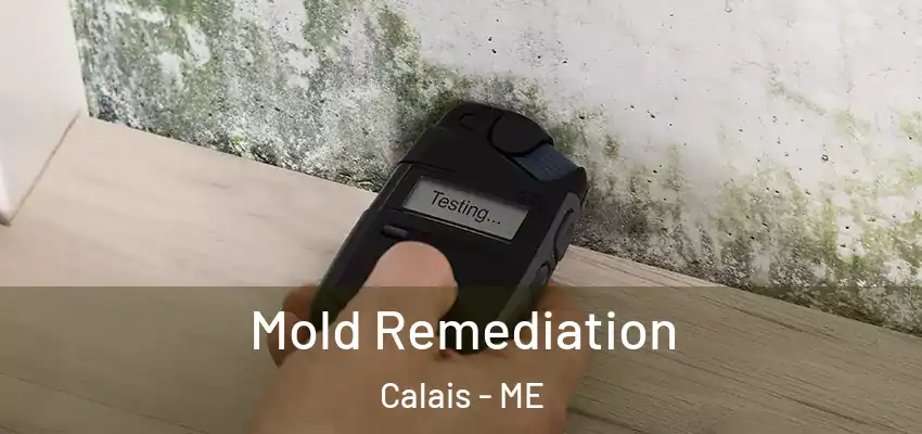  Mold Remediation Calais - ME