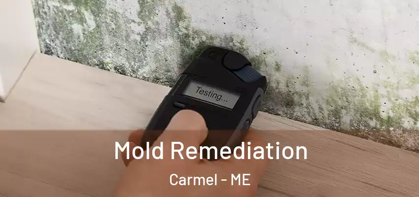  Mold Remediation Carmel - ME
