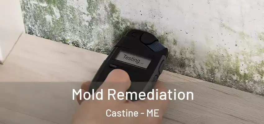  Mold Remediation Castine - ME