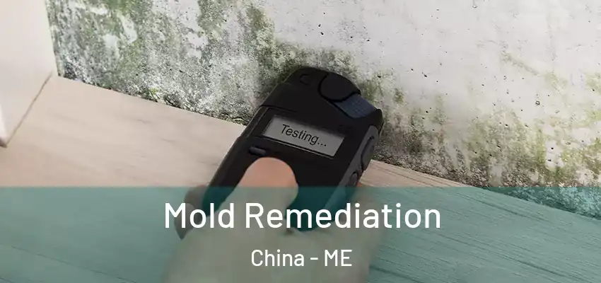  Mold Remediation China - ME