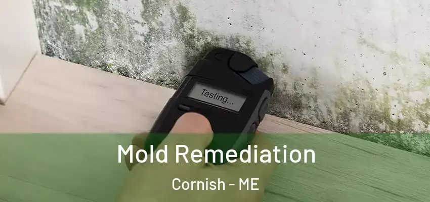  Mold Remediation Cornish - ME