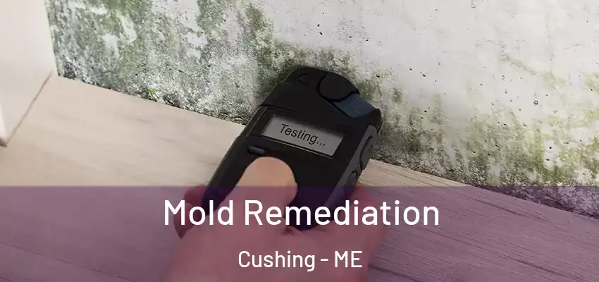  Mold Remediation Cushing - ME