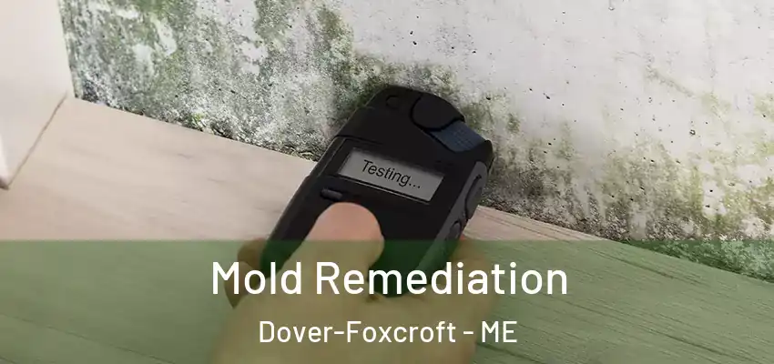  Mold Remediation Dover-Foxcroft - ME
