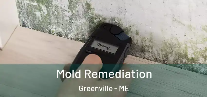  Mold Remediation Greenville - ME
